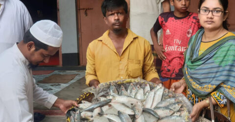 নিষেধাজ্ঞা অমান্য করে ইলিশ বিক্রি, ৪৫ কেজি ইলিশ গেল এতিমখানায়