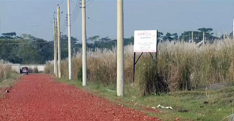 বরিশাল বিসিকের কাশবন এখন ব্যবসায়ীদের আতঙ্ক