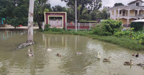 বিদ্যালয়ের প্রধান ফটকে ‘পুকুর’