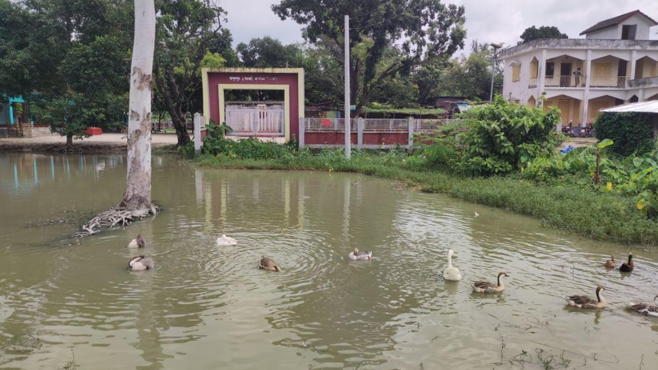 বিদ্যালয়ের প্রধান ফটকে ‘পুকুর’