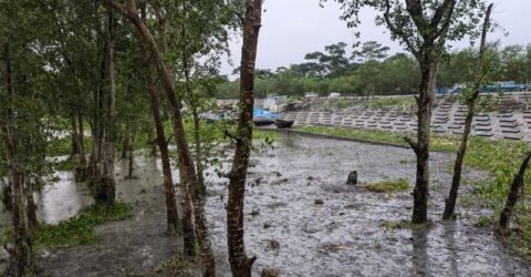 ঘূর্ণিঝড় ‘দানা’: বাগেরহাটে বৃষ্টি-দমকা হাওয়া