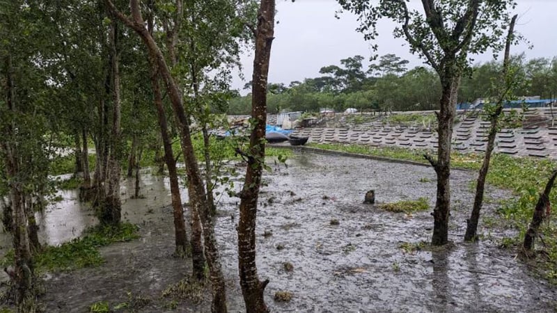 ঘূর্ণিঝড় ‘দানা’: বাগেরহাটে বৃষ্টি-দমকা হাওয়া