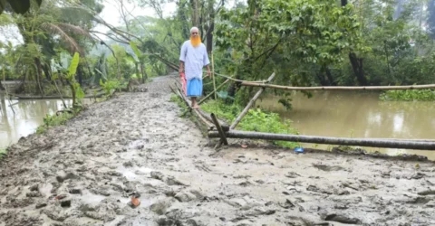 বরগুনায় সড়কে হাঁটু সমান কাঁদা, বিকল্প এখন বাঁশের সাঁকো