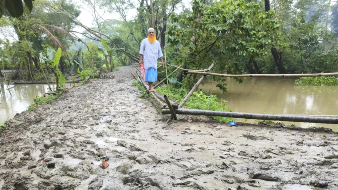 বরগুনায় সড়কে হাঁটু সমান কাঁদা, বিকল্প এখন বাঁশের সাঁকো