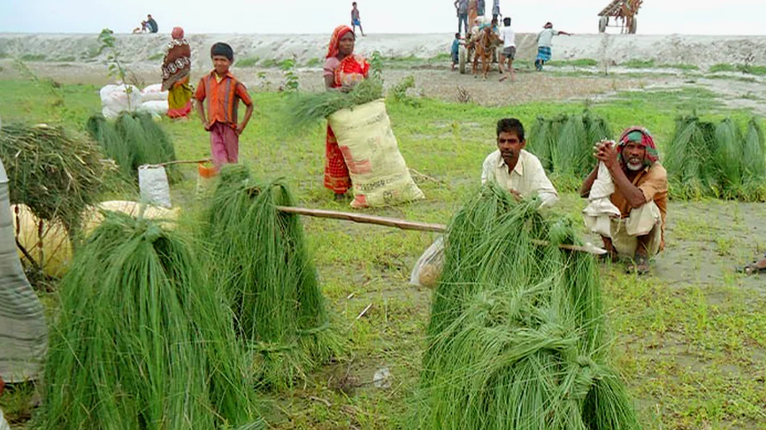 ছন বিক্রি করেই চলে তাদের সংসার