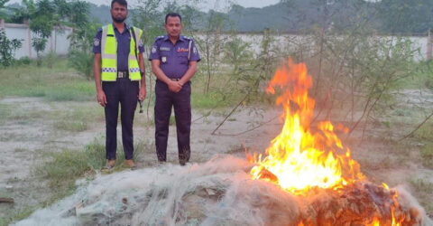 চাঁদপুরে ইলিশ ধরার সময় ৬৩ জেলে আটক, কারাদণ্ড-জরিমানা