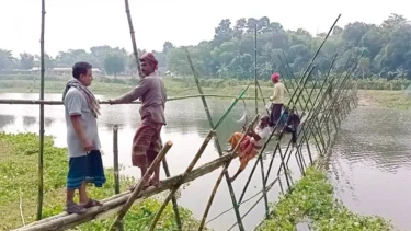 ৪২ বছর ধরে বাঁশের সাঁকোই একমাত্র ভরসা রায়পুরবাসীর