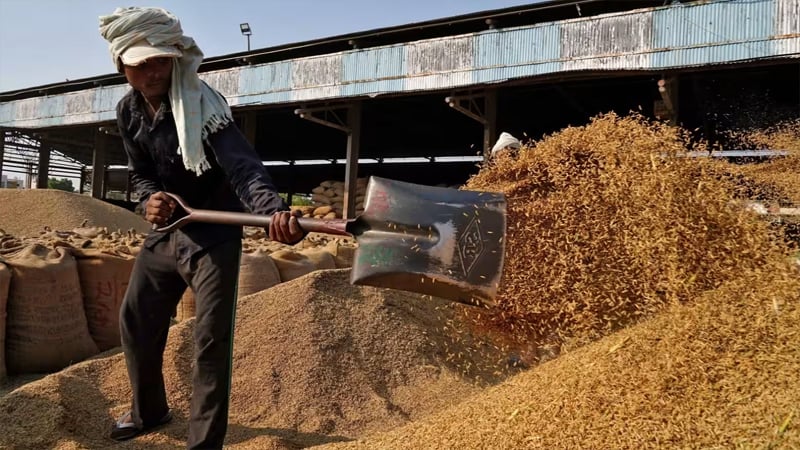 বিশ্ববাজারে কমলো চালের দাম