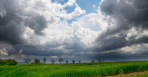 তাপমাত্রা নিয়ে নতুন বার্তা দিলো আবহাওয়া অফিস