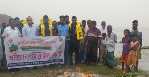 নিষেধাজ্ঞা অমান্য করে ইলিশ শিকার, ২৭ জেলে আটক