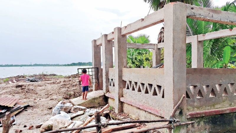 নবগঙ্গার গ্রাসে শত ঘরবাড়ি