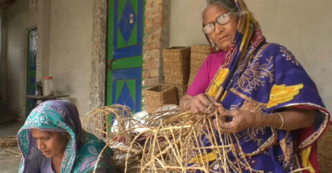 হাজারো নারীর ভাগ্য বদল, হোগলাপাতায় তৈরি পণ্য যাচ্ছে ২৮ দেশে