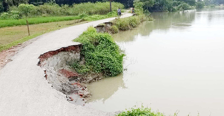 নদীর ভাঙনে বিলীনের পথে সড়ক