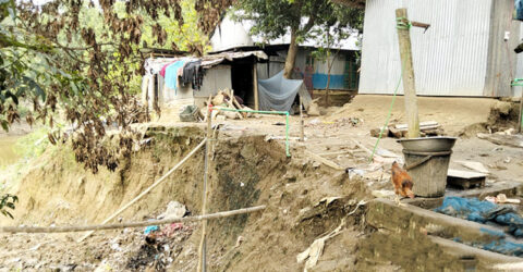 ফেনীতে নদী ভাঙনে জনবসতি বিলীনের আশঙ্কা