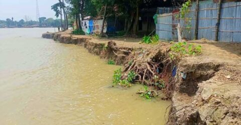 গাইবান্ধায় বিপৎসীমার নিচে সব নদীর পানি, ভাঙন অব্যাহত