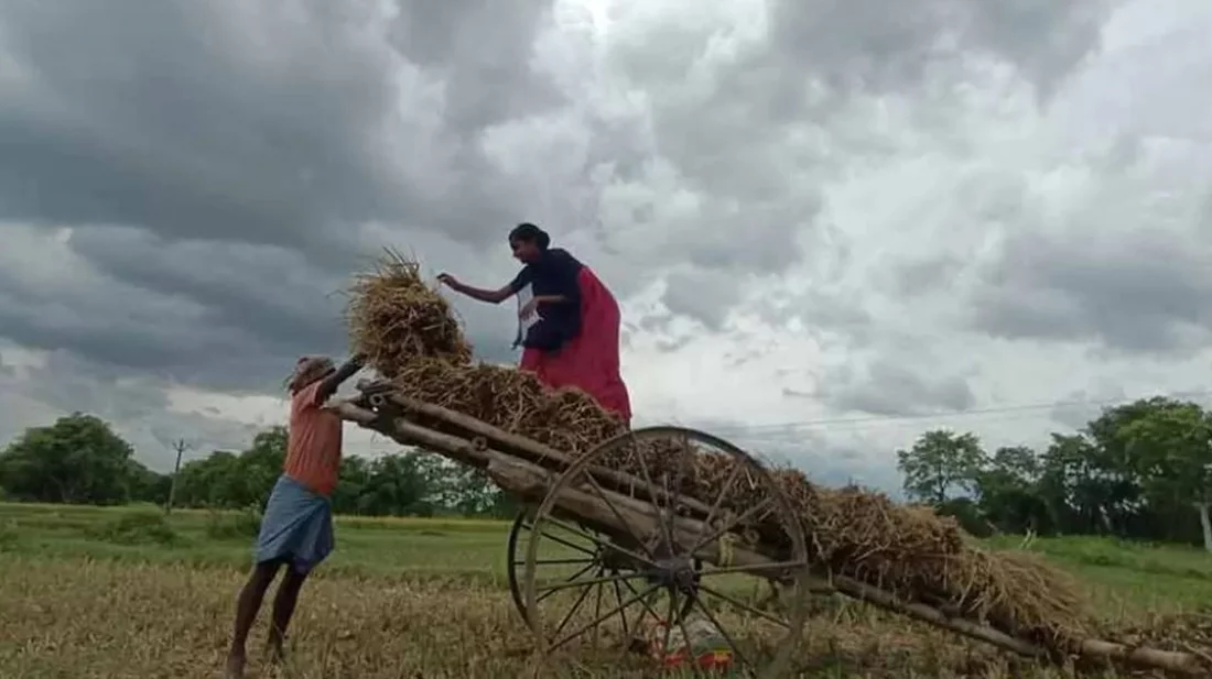 বঙ্গোপসাগরে ঘনীভূত হচ্ছে লঘুচাপ, কৃষকদের জন্য সতর্কবার্তা