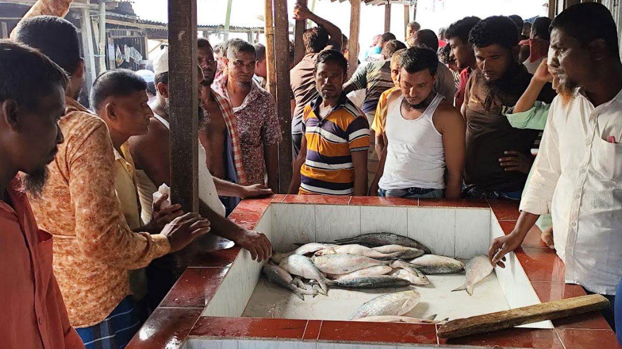 হাসিমুখে ইলিশ শিকারে গিয়ে হতাশা নিয়ে ফিরছেন জেলেরা