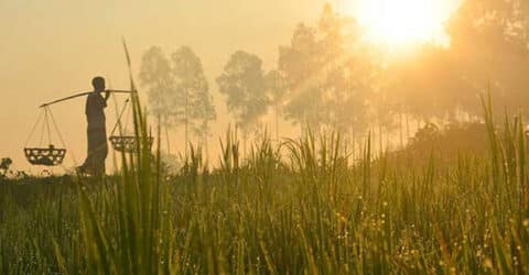 ধারাবাহিকভাবে কমছে তাপমাত্রা