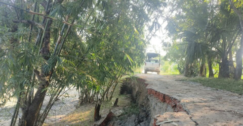 সরকারি খালের মাটি কেটে ইটভাটায় বিক্রি, ধসে পড়েছে সড়ক