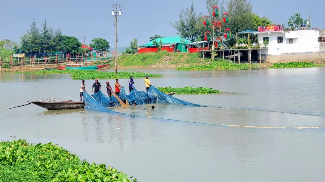 দুই দশকে চলনবিলে বিলুপ্তপ্রায় ৯০ প্রজাতির মাছ