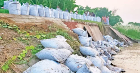 শিবচরে আড়িয়াল খাঁ নদের বেড়িবাঁধে ধস