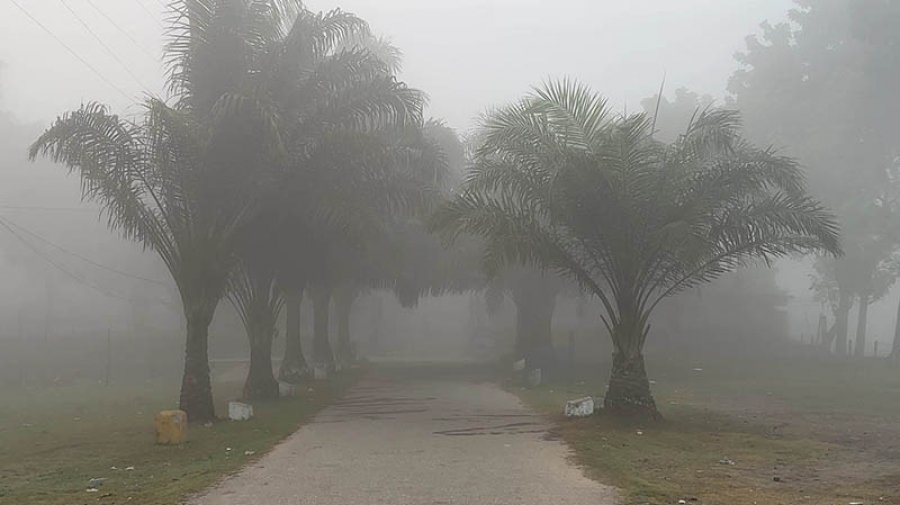 দিনাজপুরে তাপমাত্রা নেমেছে ১২.৫ ডিগ্রিতে