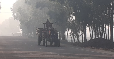 তেঁতুলিয়ায় বইছে মৃদু শৈত্যপ্রবাহ