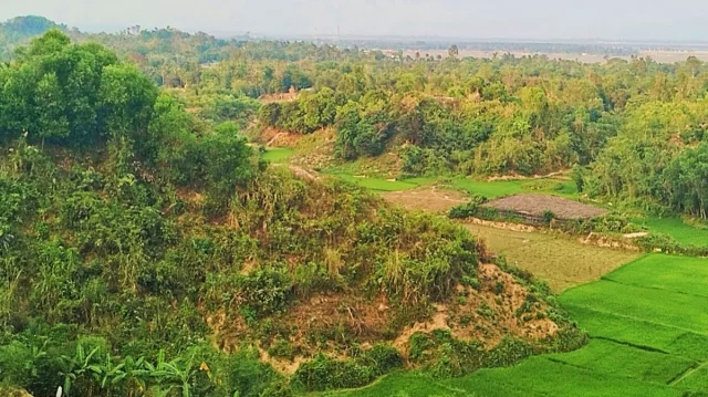 টেকনাফের পাহাড় থেকে ১৯ শ্রমিক অপহরণ