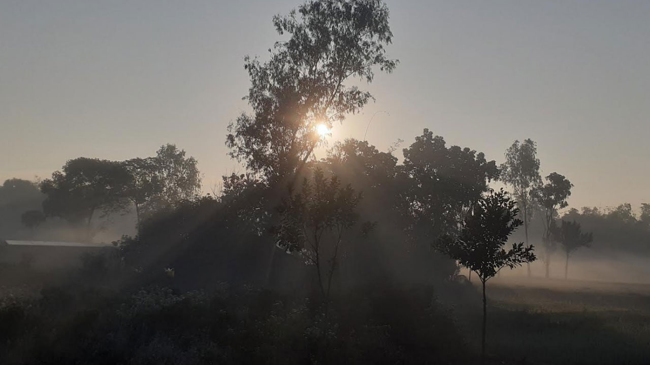 পাঁচ দিন ধরে শৈত্যপ্রবাহে কাঁপছে পঞ্চগড়