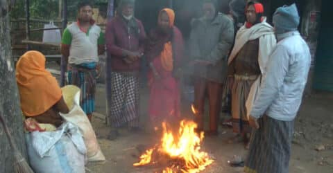 আজও মৃদু শৈত্যপ্রবাহে কাঁপছে চুয়াডাঙ্গা