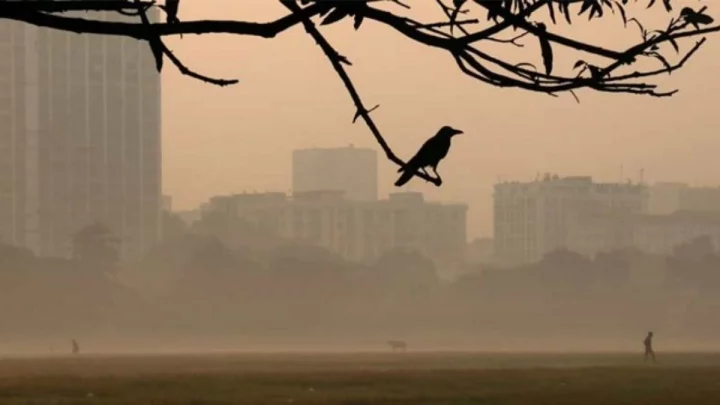 চরিত্র ফিরলো শীতের, কুয়াশায় ঢেকেছে ঢাকা