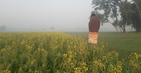 শীতের দাপটে কাঁপছে তেঁতুলিয়া, বইছে তীব্র শৈত্যপ্রবাহ