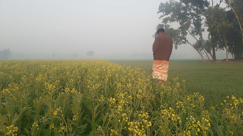 শীতের দাপটে কাঁপছে তেঁতুলিয়া, বইছে তীব্র শৈত্যপ্রবাহ