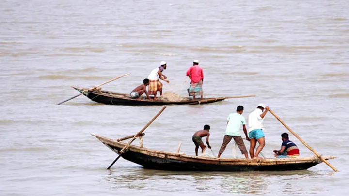 মেঘনায় বাল্কহেডের ধাক্কায় নৌকাডুবি, জেলে নিখোঁজ