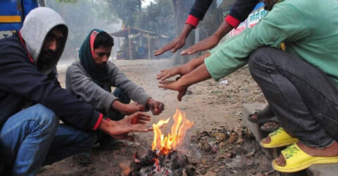 ঘন কুয়াশা আর হিম বাতাসে জবুথবু রংপুর