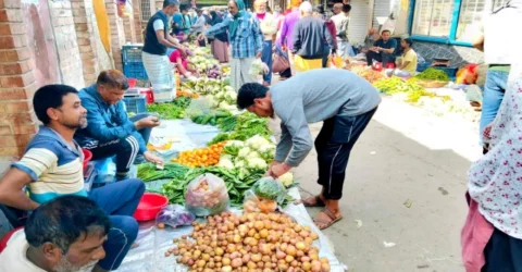 ঈশ্বরদীতে জমিতেই নষ্ট হচ্ছে কৃষকের সবজি