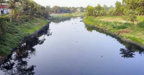 শিল্পবর্জ্যের দূষণে জৌলুস হারিয়েছে নদ-নদী