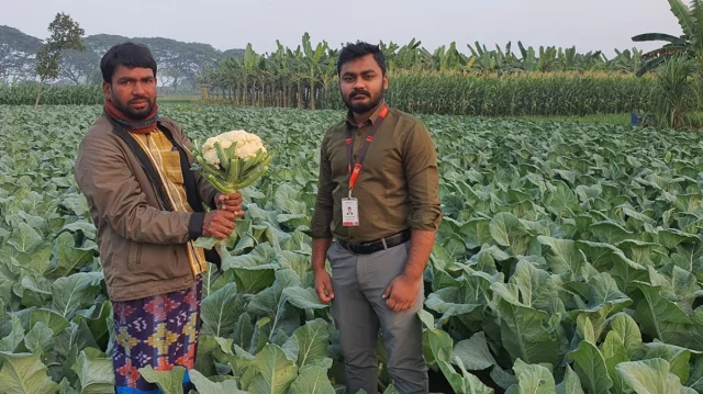 হতাশ হয়ে পড়া মেহেরপুরের কৃষকের পাশে ‘স্বপ্ন’