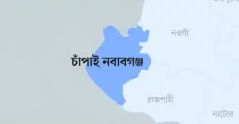 চাঁপাইনবাবগঞ্জ সীমান্তে বিএসএফের গুলিতে বাংলাদেশি আহত