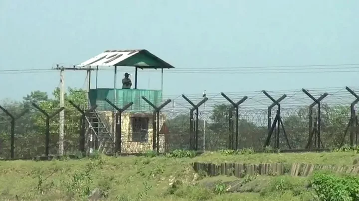 ঠাকুরগাঁওয়ে বিএসএফের হাতে বাংলাদেশি আটক