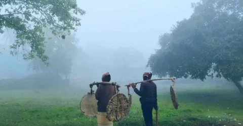 শৈত্যপ্রবাহ কমে কেন তাপমাত্রা বাড়ল, জানাল আবহাওয়া অফিস