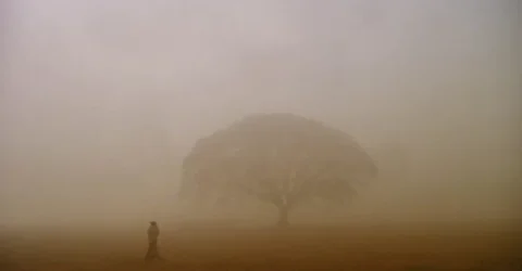 শীত আরও বাড়বে বলছে আবহাওয়া অফিস