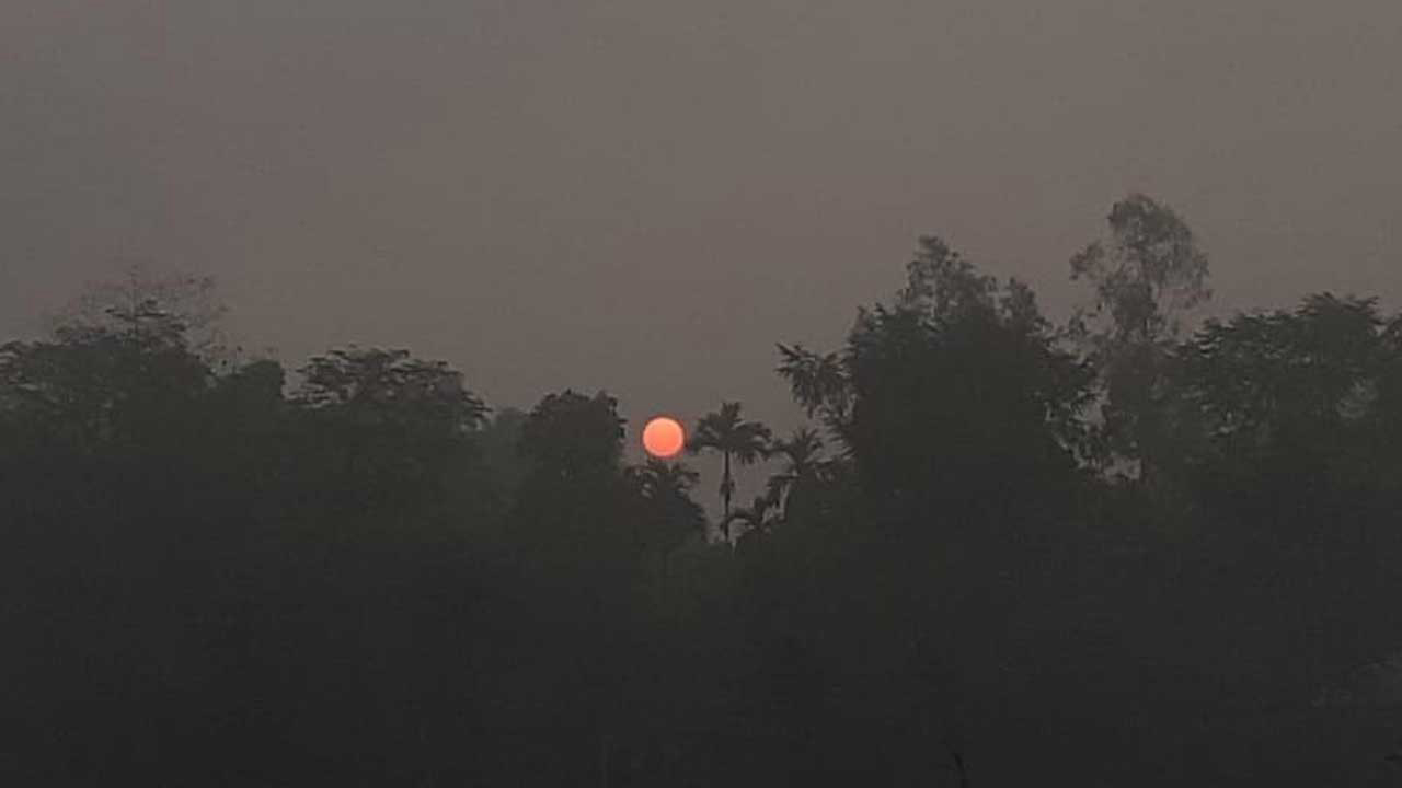 সারাদেশে বাড়বে রাত ও দিনের তাপমাত্রা