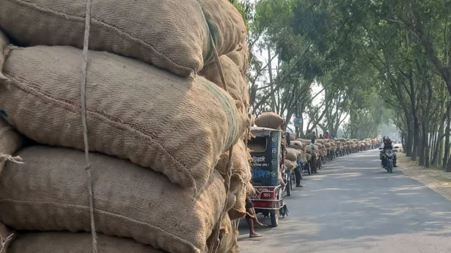 আলুর দাম ও সংরক্ষন নিয়ে চিন্তিত কৃষক