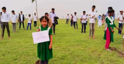 টাঙ্গুয়ার হাওরে ৪০ হাজার জলজ বৃক্ষ রোপণ করলো শিক্ষার্থীরা