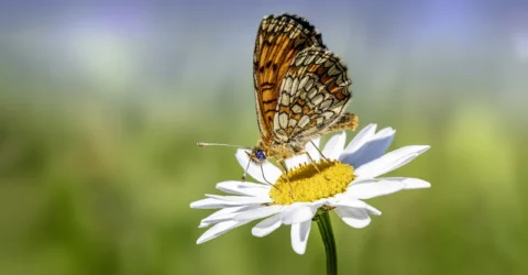 ঋতু পরিবর্তনে সুস্থ থাকার ৫ উপায়