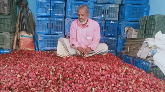 যে ফল তরকারিতে সেই ফলেই চা, কদর বাড়ছে ‘আমিলার’