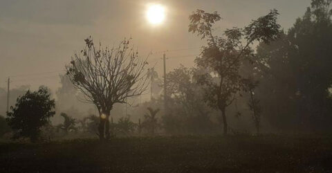 দুদিন পর থেকে আরও কমবে তাপমাত্রা