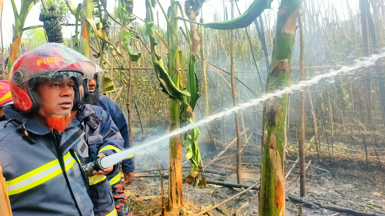 আগুনে কৃষকের ১২ বিঘা পানের বরজ পুড়ে ছাই