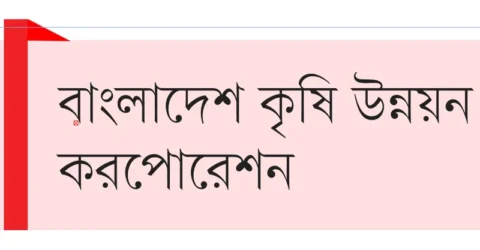 মাস্টাররোলের ৩১৭ কর্মচারীর চাকরি স্থায়ী হয়নি আজও